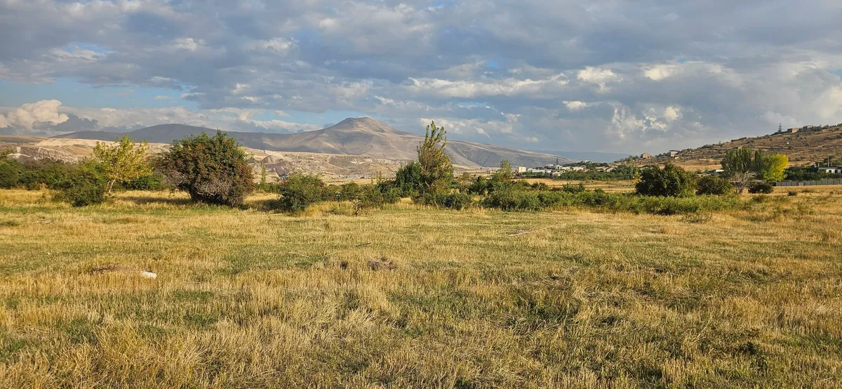 Open meadow with dry grass and a mountain on the horizon, near Yerevan